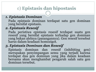 c) Epistasis dan hipostasis
1. Epistasis Dominan
Pada epistasis dominan terdapat satu gen dominan
yang bersifat epistasis.
2. Epistasis Resesif
Pada peristiwa epistasis resesif terdapat suatu gen
resesif yang bersifat epistasis terhadap gen dominan
yang bukan alelnya (pasangannya). Gen resesif tersebut
harus dalam keadaan homozigot.
3. Epistasis Dominan dan Resesif
Epistasis dominan dan resesif (inhibiting gen)
merupakan penyimpangan semu yang terjadi karena
terdapat dua gen dominan yang jika dalam keadaan
bersama akan menghambat pengaruh salah satu gen
dominan tersebut.
 