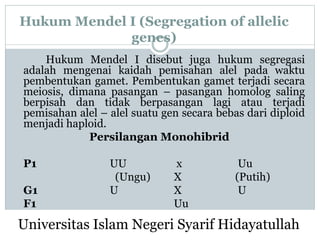 Hukum Mendel I (Segregation of allelic
genes)
Hukum Mendel I disebut juga hukum segregasi
adalah mengenai kaidah pemisahan alel pada waktu
pembentukan gamet. Pembentukan gamet terjadi secara
meiosis, dimana pasangan – pasangan homolog saling
berpisah dan tidak berpasangan lagi atau terjadi
pemisahan alel – alel suatu gen secara bebas dari diploid
menjadi haploid.
Persilangan Monohibrid
P1 UU x Uu
(Ungu) X (Putih)
G1 U X U
F1 Uu
Universitas Islam Negeri Syarif Hidayatullah
 
