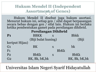 Hukum Mendel II (Independent
Assortment of Genes)
Hukum Mendel II disebut juga hukum asortasi.
Menurut hukum ini, setiap gen / sifat dapat berpasangan
secara bebas dengan gen / sifat lain. Hukum ini berlaku
ketika pembentukan gamet pada persilangan dihibrid.
Persilangan Dihibrid
P1 BBKK x Bbkk
(Biji bulat kuning) (Biji
keriput Hijau)
G1 BK x bk
F1 BbKk
P2 BbKk x BbKk
G2 BK, Bk, bK,bk BK, Bk, bK,bk
Universitas Islam Negeri Syarif Hidayatullah
 