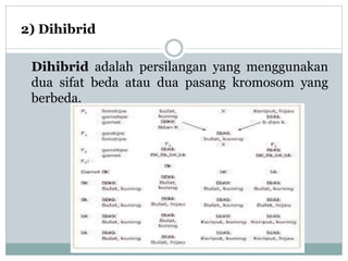 2) Dihibrid
Dihibrid adalah persilangan yang menggunakan
dua sifat beda atau dua pasang kromosom yang
berbeda.
 