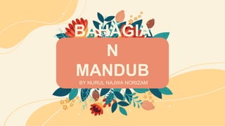 BAHAGIA
N
MANDUB
BY NURUL NAJWA NORIZAM
 
