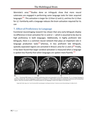 Multilingual brain | PDF