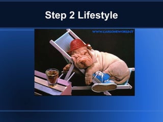 Step 2 Lifestyle 