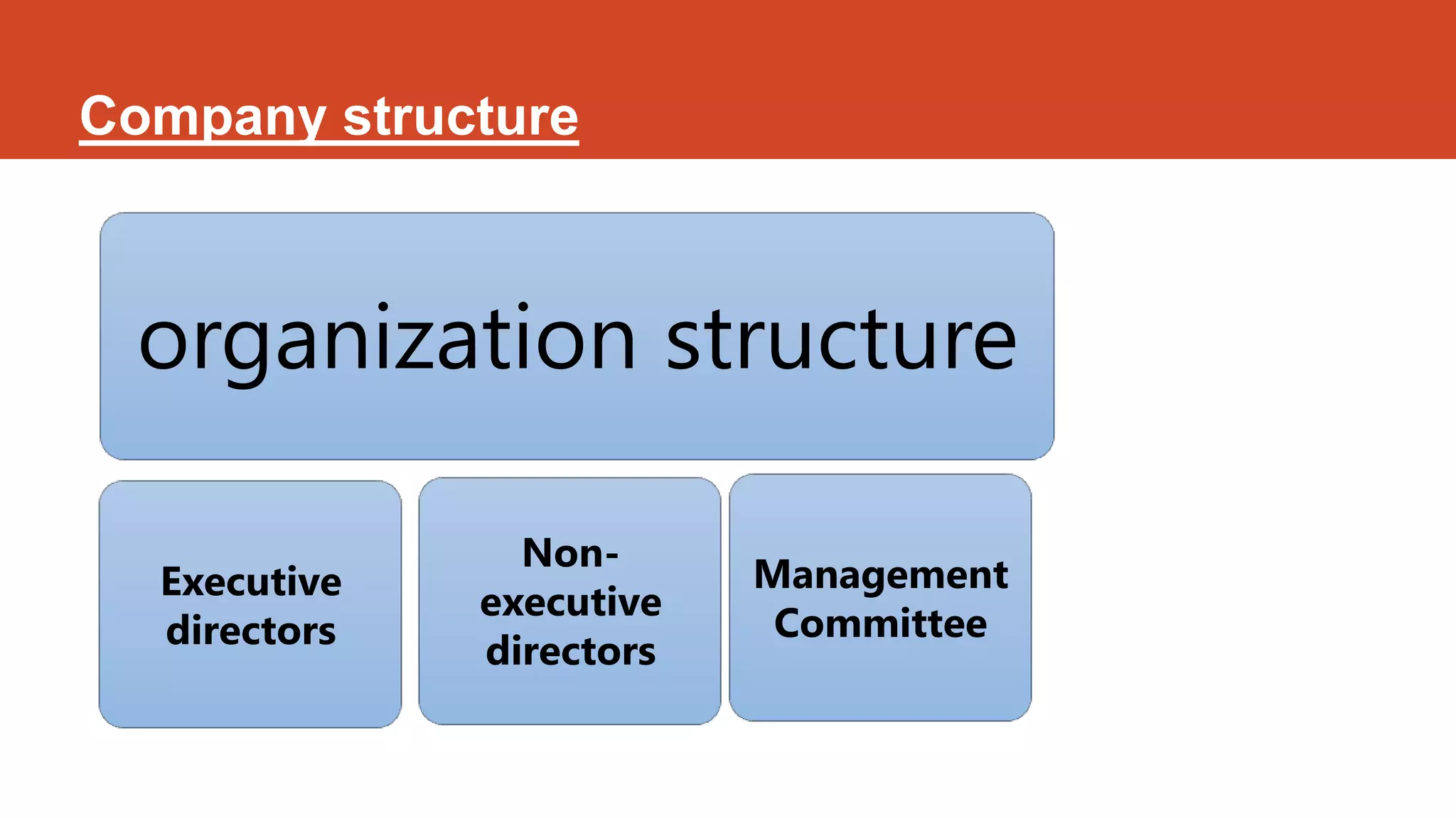 Company structure



 organization structure

                Non-
  Executive               Management
              executive
  directors                Committee
              directors
 
