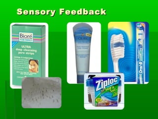 Sensory Feedback

 