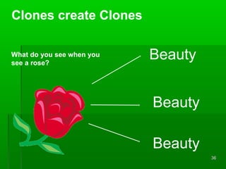 Clones create Clones
What do you see when you
see a rose?

Beauty
Beauty
Beauty
36

 