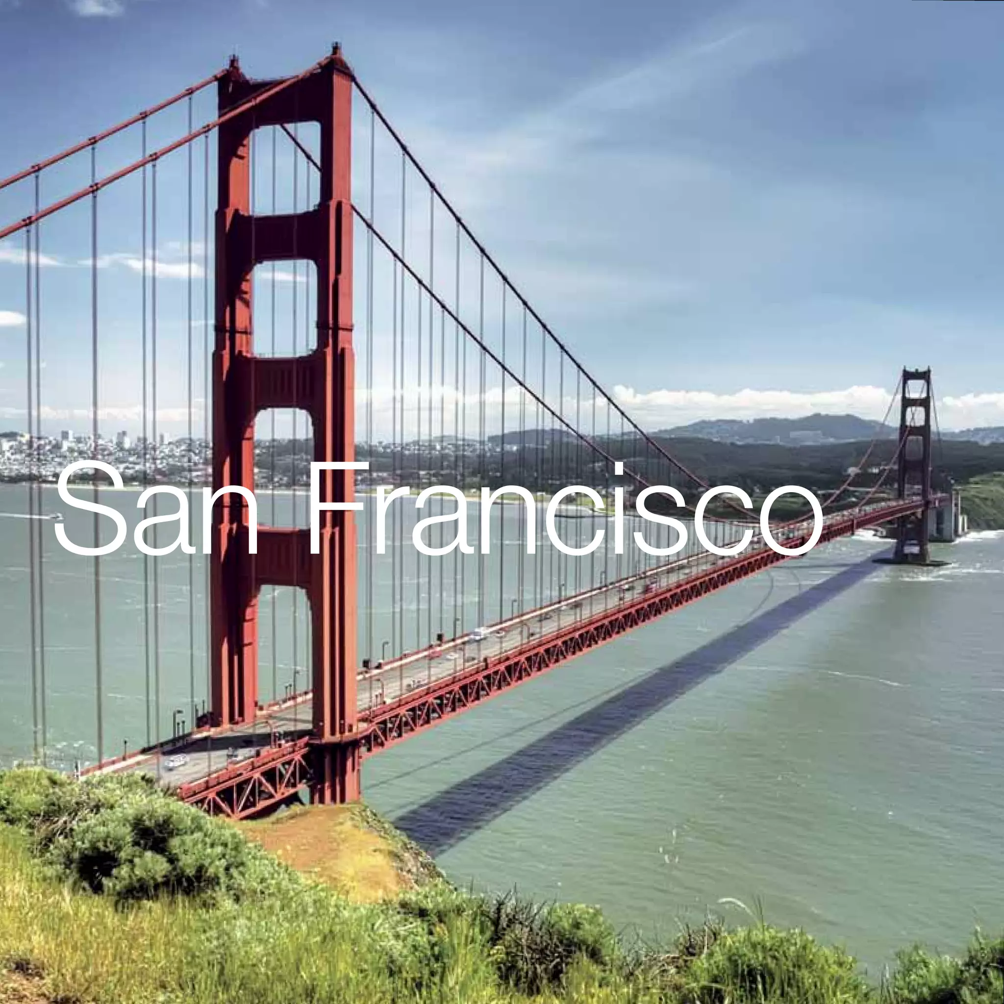 San Francisco


46   Hult International Business School
 