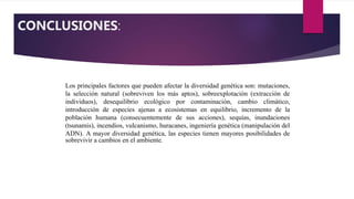 CONCLUSIONES:
Los principales factores que pueden afectar la diversidad genética son: mutaciones,
la selección natural (sobreviven los más aptos), sobreexplotación (extracción de
individuos), desequilibrio ecológico por contaminación, cambio climático,
introducción de especies ajenas a ecosistemas en equilibrio, incremento de la
población humana (consecuentemente de sus acciones), sequías, inundaciones
(tsunamis), incendios, vulcanismo, huracanes, ingeniería genética (manipulación del
ADN). A mayor diversidad genética, las especies tienen mayores posibilidades de
sobrevivir a cambios en el ambiente.
 