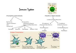 581406077470<br />Immune System<br />I Non-Specific or Innate Immunity                                                                                   II Specific or Adaptive Immunity<br />                                                                                        <br />                                                                                                                                                      Lymphocyte(White Blood cells)<br />The First line                                   The Second line                                 <br />- Mucous membranes                          - Inflammatory Response                               B Lymphocyte                                    T Lymphocyte<br />-Skin                                                    - Phagocytes(White Blood cells)          (Produced In Bone Marrow)                    (Produced in Thymus)<br />-Stomach acid                                                                                                     <br />                                                                                                                            Humoral Response                                  Cell Mediated Response<br />       Neutrophils       Monocytes        Macrophages       Dendritic  (Cells)   <br />                                                                                                                                   Antibodies                                                      Macrophages<br />518795635                                                          <br />