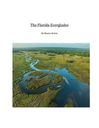 The Florida Everglades
By:Matias Belete
 