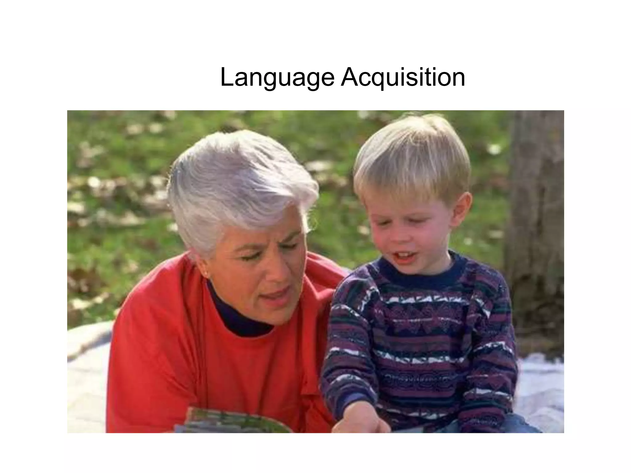 Language Acquisition
 