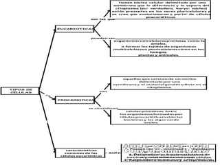 Buy SmartDraw !- purchased copies print this
document without a watermark .
Visit www .smartdraw .com or call 1-800-768-3729.