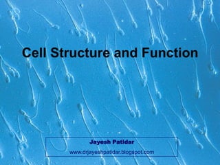 Cell Structure and Function
Jayesh Patidar
www.drjayeshpatidar.blogspot.com
 