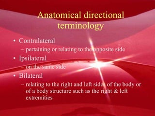 Anatomical directional terminology Contralateral pertaining or relating to the opposite side Ipsilateral on the same side Bilateral relating to the right and left sides of the body or of a body structure such as the right & left extremities 