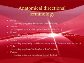Anatomical directional terminology Prone the body lying face downward; stomach lying Supine lying on the back; face upward position of the body Dorsal relating to the back; being or located near, on, or toward the back, posterior part, or upper surface of  Ventral relating to the belly or abdomen, on or toward the front, anterior part of  Volar relating to palm of the hand or sole of the foot Plantar relating to the sole or undersurface of the foot 
