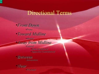 Directional Terms Front Down Prone Toward Midline Medial Away from Midline Lateral Same-Ipsilateral Opposite-Contralateral Between Intermediate Near Proximal 