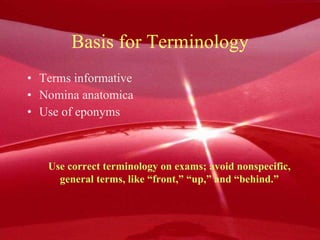 Basis for Terminology Terms informative Nomina anatomica Use of eponyms   Use correct terminology on exams; avoid nonspecific, general terms, like “front,” “up,” and “behind.” 