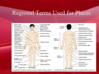 Regional Terms Used for Places 