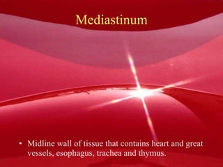 Mediastinum Midline wall of tissue that contains heart and great vessels, esophagus, trachea and thymus. 