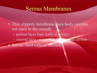 Serous Membranes Thin slippery membrane lines body cavities not open to the outside parietal layer lines walls of cavities visceral layer covers viscera within the cavities Serous fluid reduces friction 