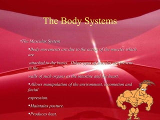 The Body Systems The Muscular System Body movements are due to the action of the muscles which are attached to the bones.  Other types of muscles are present in the walls of such organs as the intestine and the heart.  Allows manipulation of the environment, locomotion and facial  expression. Maintains posture. Produces heat. 