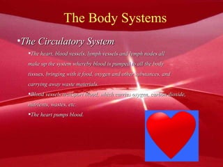 The Body Systems The Circulatory System The heart, blood vessels, lymph vessels and lymph nodes all  make up the system whereby blood is pumped to all the body  tissues, bringing with it food, oxygen and other substances, and carrying away waste materials. Blood vessels transport blood, which carries oxygen, carbon dioxide,  nutrients, wastes, etc. The heart pumps blood. 