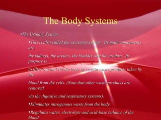 The Body Systems The Urinary System This is also called the excretory system.  Its main components are the kidneys, the ureters, the bladder and the urethra.  Its purpose is to filter out and rid the body of certain waste products taken by the  blood from the cells. (Note that other waste products are removed via the digestive and respiratory systems). Eliminates nitrogenous waste from the body. Regulates water, electrolyte and acid-base balance of the blood. 