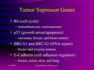 Tumor Supressor Genes Rb (cell cycle) retinoblastoma, osteosarcoma p53 (growth arrest/apoptosis) sarcomas, breast, and brain tumors BRCA1 and BRCA2 (DNA repair) breast and ovarian tumors E-Cadherin (cell adhesion regulator) breast, colon, skin, and lung 