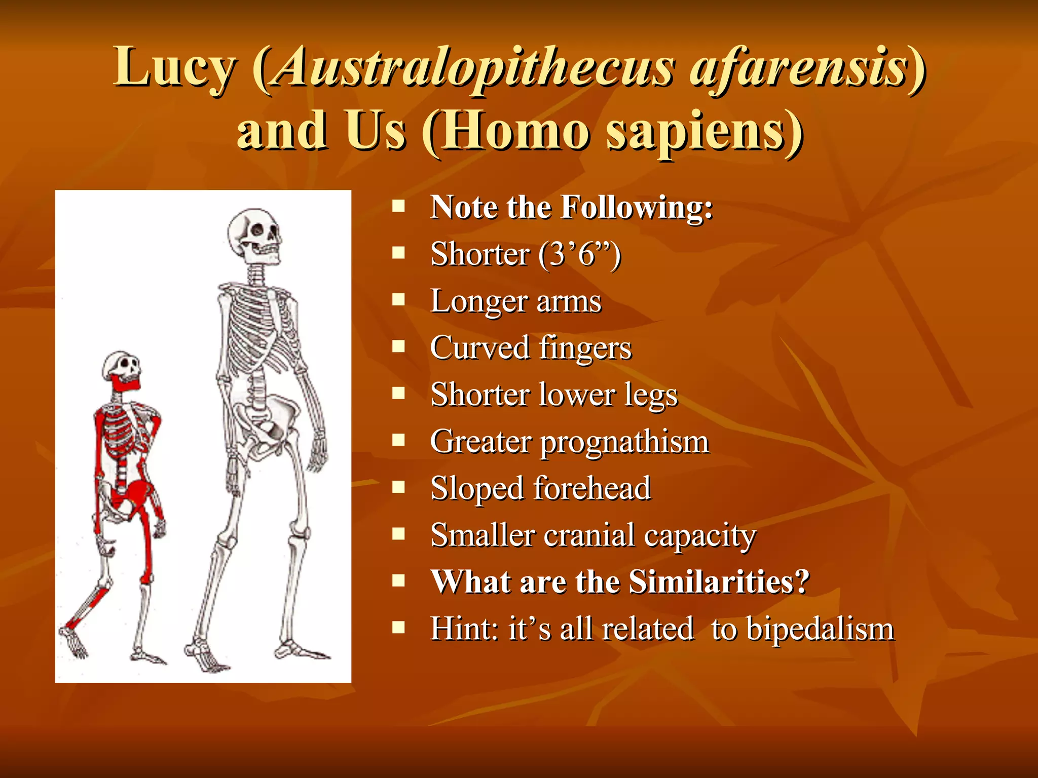Human Biological and Cultural Evolution. | PPT