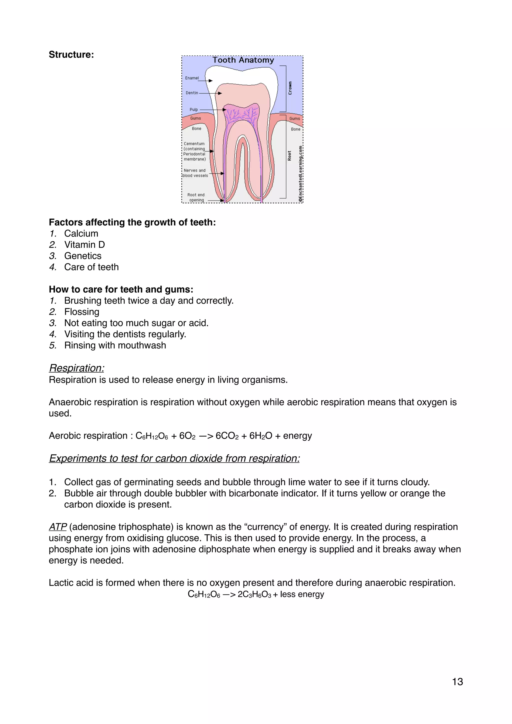 Structure:
Factors affecting the growth of teeth:
1. Calcium
2. Vitamin D
3. Genetics
4. Care of teeth
How to care for teeth and gums:
1. Brushing teeth twice a day and correctly.
2. Flossing
3. Not eating too much sugar or acid.
4. Visiting the dentists regularly.
5. Rinsing with mouthwash
Respiration:
Respiration is used to release energy in living organisms.
Anaerobic respiration is respiration without oxygen while aerobic respiration means that oxygen is
used.
Aerobic respiration : C6H12O6 + 6O2 —> 6CO2 + 6H2O + energy
Experiments to test for carbon dioxide from respiration:
1. Collect gas of germinating seeds and bubble through lime water to see if it turns cloudy.
2. Bubble air through double bubbler with bicarbonate indicator. If it turns yellow or orange the
carbon dioxide is present.
ATP (adenosine triphosphate) is known as the “currency” of energy. It is created during respiration
using energy from oxidising glucose. This is then used to provide energy. In the process, a
phosphate ion joins with adenosine diphosphate when energy is supplied and it breaks away when
energy is needed.
Lactic acid is formed when there is no oxygen present and therefore during anaerobic respiration.
C6H12O6 —> 2C3H6O3 + less energy
13
 