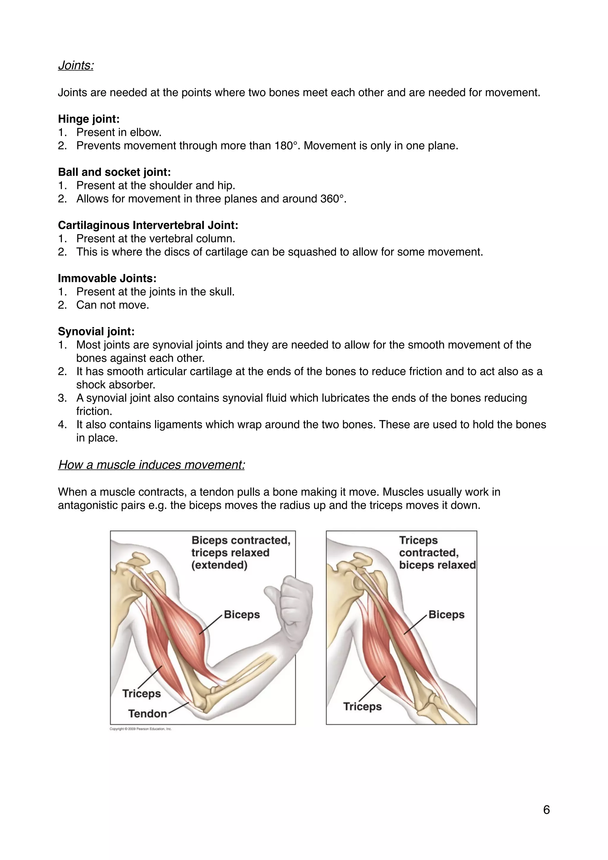 Joints:
Joints are needed at the points where two bones meet each other and are needed for movement.
Hinge joint:
1. Present in elbow.
2. Prevents movement through more than 180°. Movement is only in one plane.
Ball and socket joint:
1. Present at the shoulder and hip.
2. Allows for movement in three planes and around 360°.
Cartilaginous Intervertebral Joint:
1. Present at the vertebral column.
2. This is where the discs of cartilage can be squashed to allow for some movement.
Immovable Joints:
1. Present at the joints in the skull.
2. Can not move.
Synovial joint:
1. Most joints are synovial joints and they are needed to allow for the smooth movement of the
bones against each other.
2. It has smooth articular cartilage at the ends of the bones to reduce friction and to act also as a
shock absorber.
3. A synovial joint also contains synovial ﬂuid which lubricates the ends of the bones reducing
friction.
4. It also contains ligaments which wrap around the two bones. These are used to hold the bones
in place.
How a muscle induces movement:
When a muscle contracts, a tendon pulls a bone making it move. Muscles usually work in
antagonistic pairs e.g. the biceps moves the radius up and the triceps moves it down.
6
 