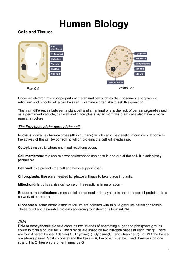 Edexcel Igcse Physics Past Papers