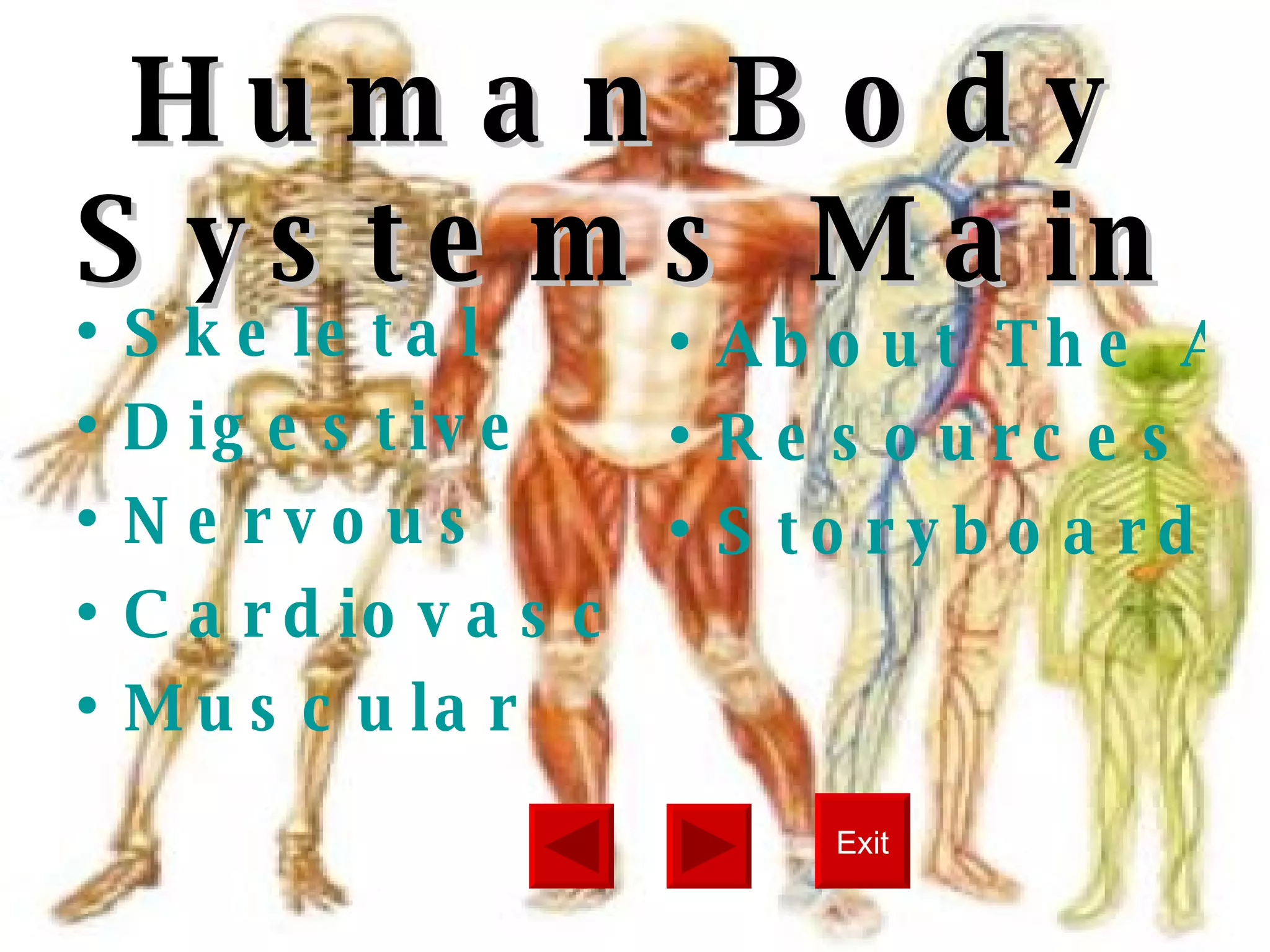 The Human Body System | PPT