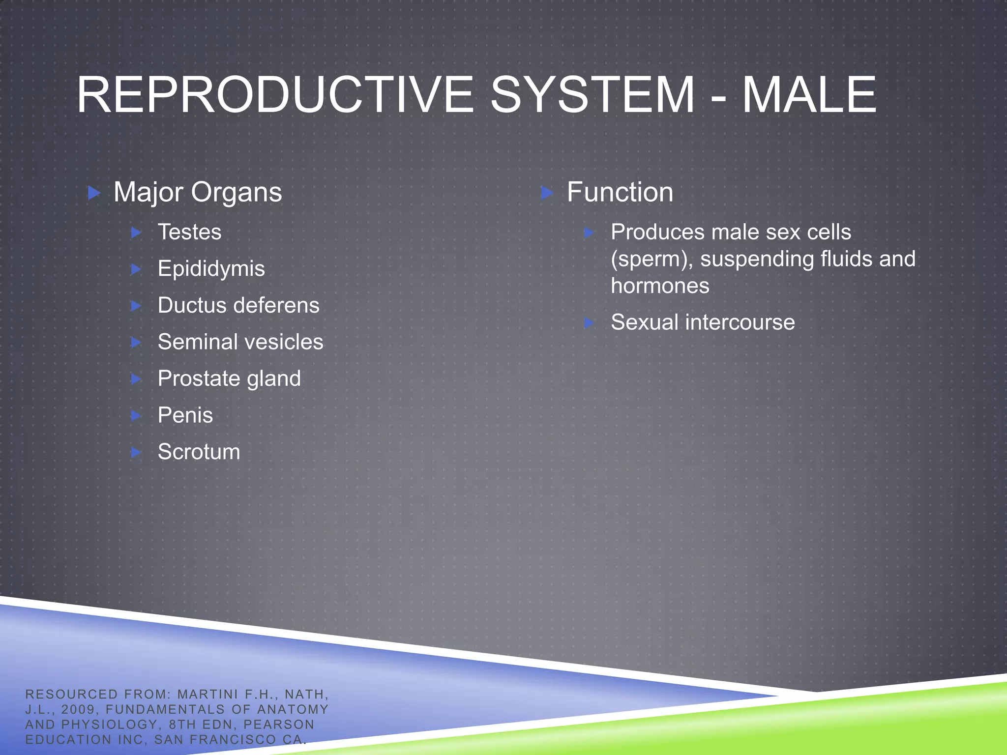 REPRODUCTIVE SYSTEM - MALE
            Major Organs                                       Function
                     Testes                                       Produces male sex cells
                     Epididymis
                                                                    (sperm), suspending fluids and
                                                                    hormones
                     Ductus deferens
                                                                   Sexual intercourse
                     Seminal vesicles
                     Prostate gland
                     Penis
                     Scrotum




R E S O U R C E D F R O M: MA R T I N I F . H . , N A T H ,
J . L . , 2 0 0 9 , F U N D A ME N T A L S O F A N A T O M Y
AND PHYSIOLOGY, 8TH EDN, PEARSON
EDUCATION INC, SAN FRANCISCO CA.
 