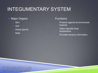 INTEGUMENTARY SYSTEM
            Major Organs                                       Functions
                     Skin                                         Protects against environmental
                     Hair
                                                                    hazards
                                                                   Helps regulate body
                     Sweat glands
                                                                    temperature
                     Nails
                                                                   Provides sensory information




R E S O U R C E D F R O M: MA R T I N I F . H . , N A T H ,
J . L . , 2 0 0 9 , F U N D A ME N T A L S O F A N A T O M Y
AND PHYSIOLOGY, 8TH EDN, PEARSON
EDUCATION INC, SAN FRANCISCO CA.
 