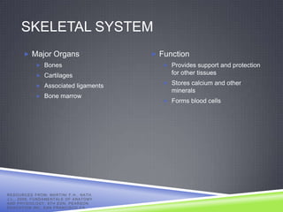 SKELETAL SYSTEM
            Major Organs                                       Function
                     Bones                                        Provides support and protection
                     Cartilages
                                                                    for other tissues
                                                                   Stores calcium and other
                     Associated ligaments
                                                                    minerals
                     Bone marrow
                                                                   Forms blood cells




R E S O U R C E D F R O M: MA R T I N I F . H . , N A T H ,
J . L . , 2 0 0 9 , F U N D A ME N T A L S O F A N A T O M Y
AND PHYSIOLOGY, 8TH EDN, PEARSON
EDUCATION INC, SAN FRANCISCO CA.
 