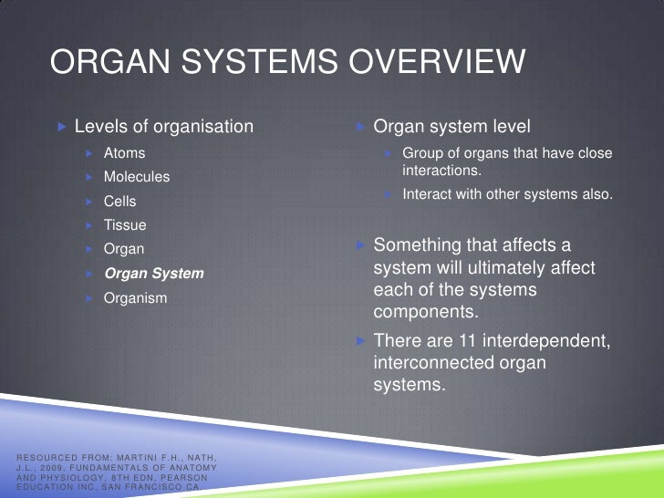 Human Body Systems & Major Organs Human Body Systems & Major Organs