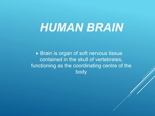 HUMAN BRAIN
 Brain is organ of soft nervous tissue
contained in the skull of vertebrates,
functioning as the coordinating centre of the
body
 