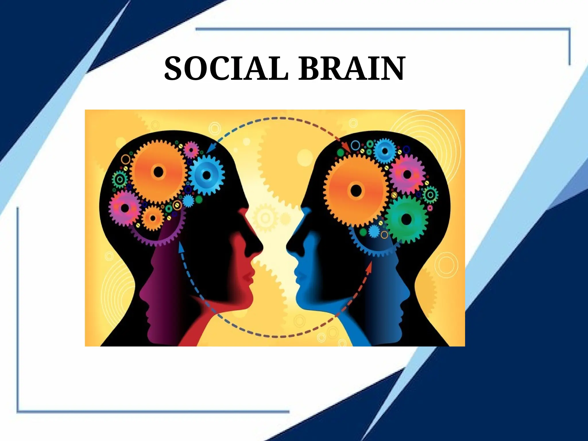 SOCIAL BRAIN
 
