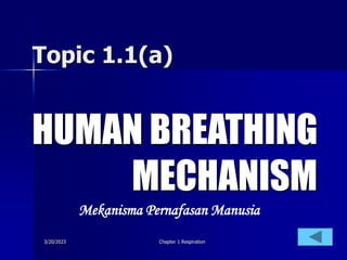 3/20/2023 Chapter 1 Respiration
Topic 1.1(a)
HUMAN BREATHING
MECHANISM
Mekanisma Pernafasan Manusia
 