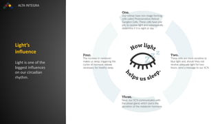 Human Centric Lighting for Productivity | PDF