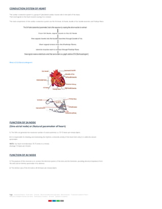 CONDUCTION SYSTEM OF HEART
The cardiac conduction system is a group of specialized cardiac muscle cells in the walls of the heart.
That send signals to the heart muscle causing it to contract.
The main components of the cardiac conduction system are the SA Node, AV Node, bundle of his, bundle branches and Purkinje fibers.
What is ECG (Electrocardiogram)
FUNCTION OF SA NODE
(Sino-atrial node) or (Natural pacemaker of heart)
1. The SAN can generate the maximum number of action potential. i.e. 70-75 beats per minute (bpm).
2. It is responsible for initiating and maintaining the rhythmic contractile activity of the heart that's why it is called the natural
pacemaker.
NOTE- Our heart normally beats 70-75 times in a minute.
(Average 72 beats per minute)
FUNCTION OF AV NODE
1. The purpose of this structure is to connect the electrical system of the atria and the Ventricles, providing electrical impedance from
the atria and an intrinsic pacemaker in its absence.
2. The intrinsic rate of the AV node is 40-60 beats per minute (bpm).
Tags: Anatomy of heart Aortic Arch AV node Blood circulation through heart Blood Vessels Conduction system of heart
Difference between Arteries and Veins Pulmonary Circulation SA node Systemic Circulation
 
