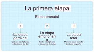 La primera etapa
Neptuno es el planeta
más alejado del Sol
Mercurio es un planeta
bastante pequeño
Júpiter es el planeta
más grande de todos
Etapa prenatal
La etapa
germinal
La etapa
embrionari
a
La etapa
fetal
1 2 3
 