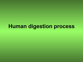 Human digestion process   