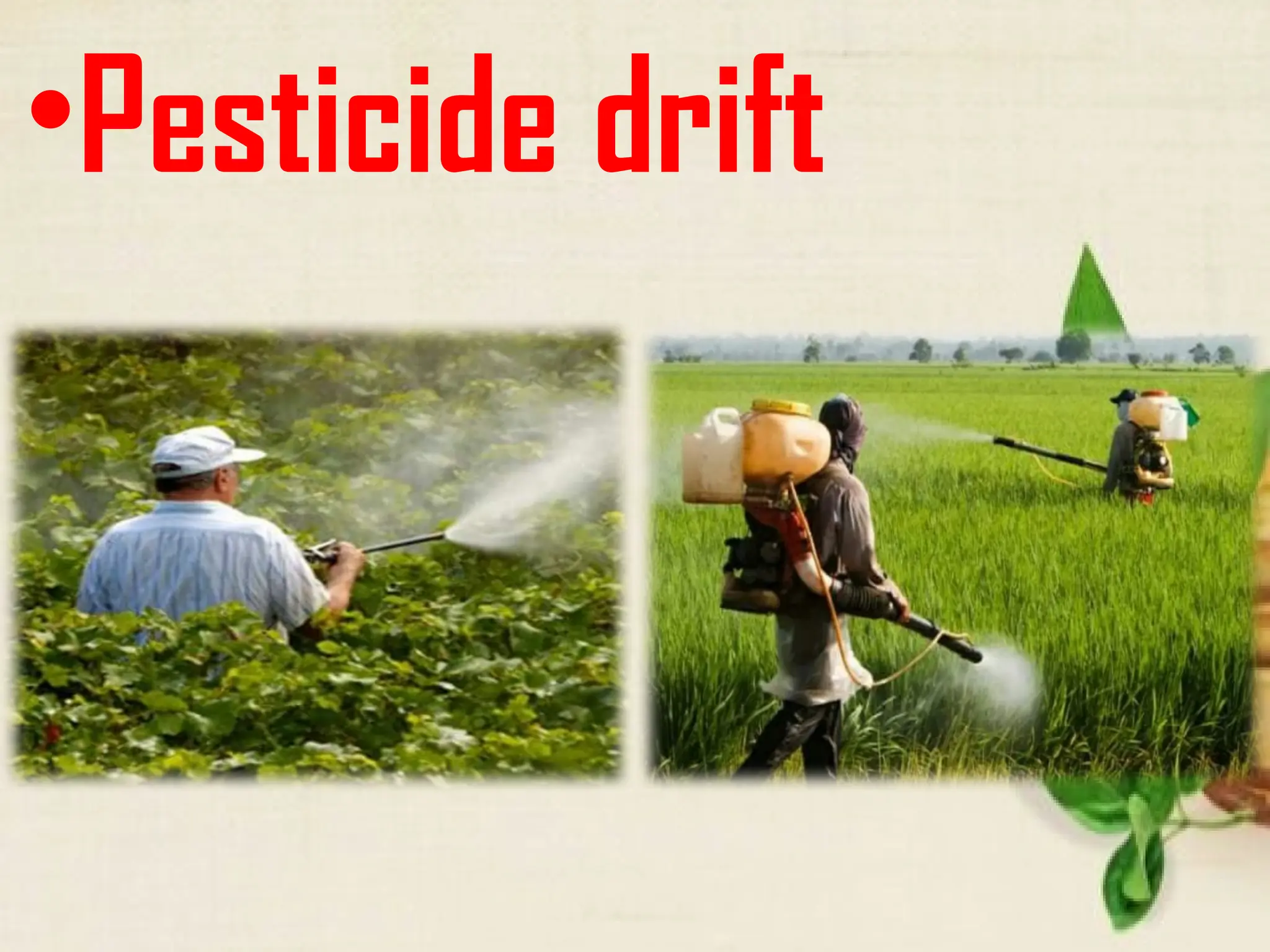 •Pesticide drift
 