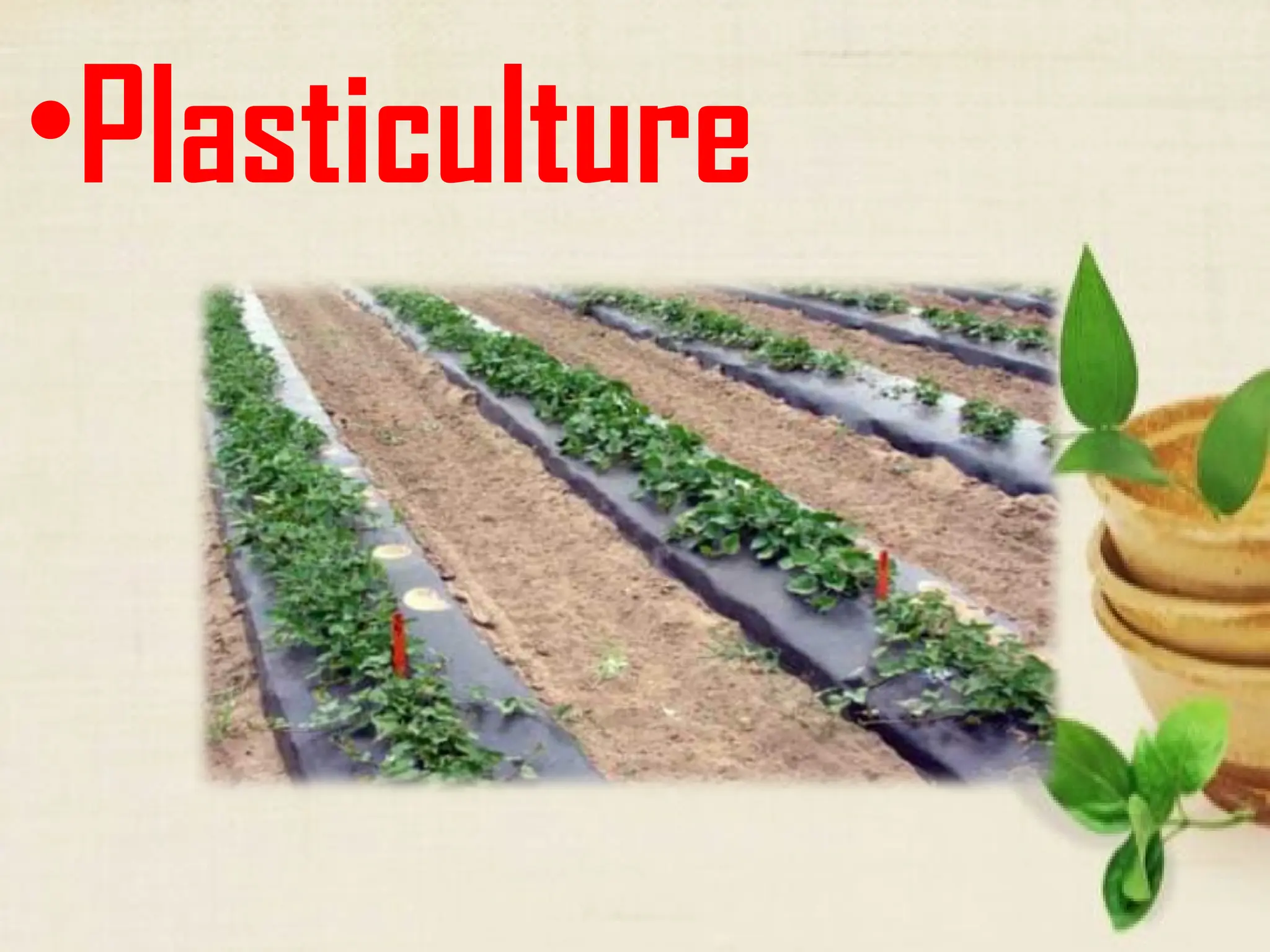 •Plasticulture
 
