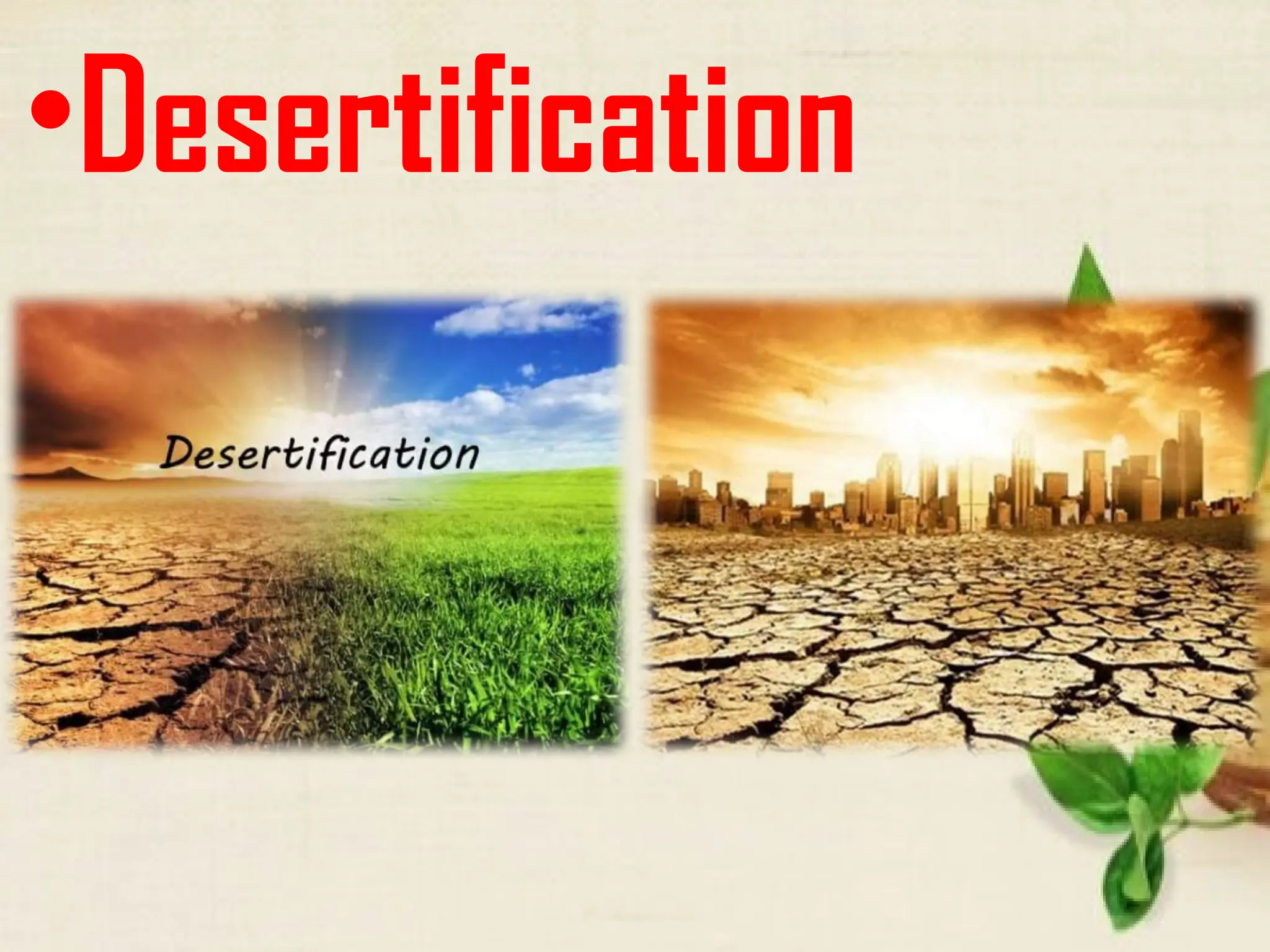 •Desertification
 