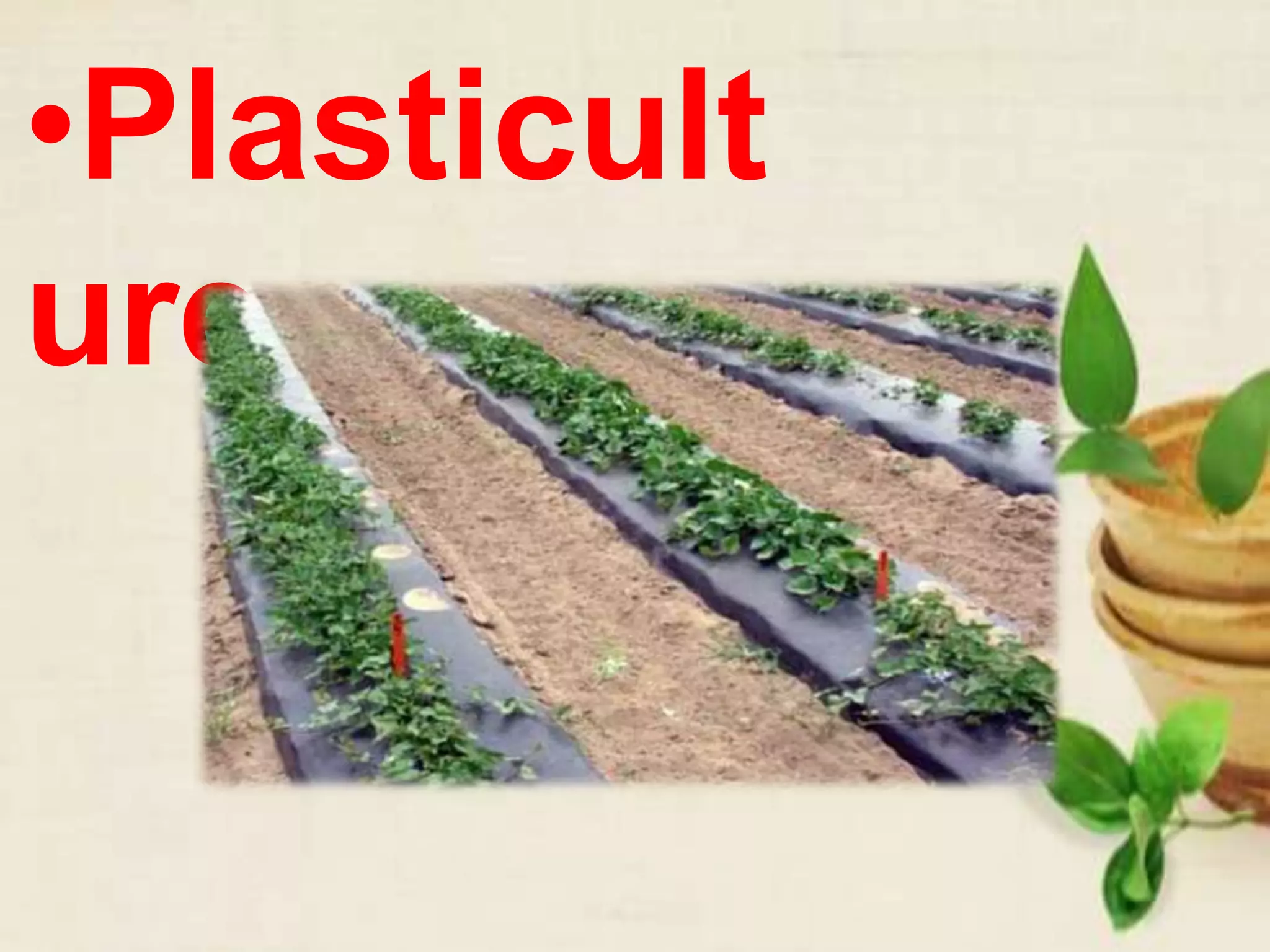 •Plasticult
ure
 