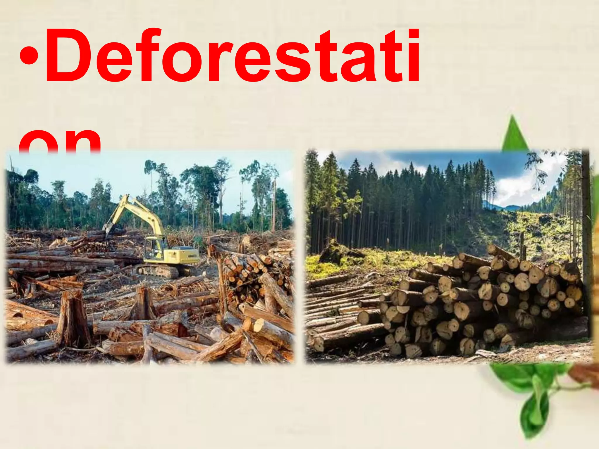 •Deforestati
on
 