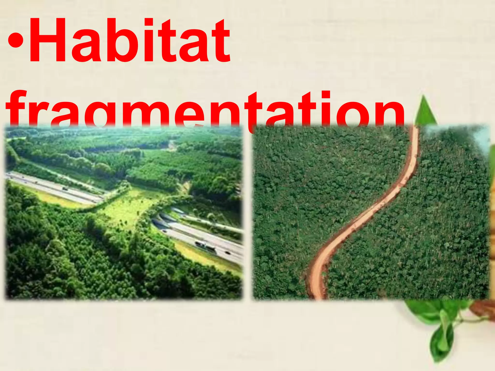 •Habitat
fragmentation
 